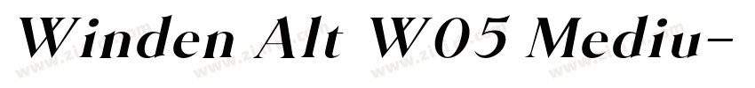 Winden Alt W05 Mediu字体转换